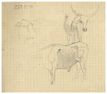 Visualizza l'immagine "FD D 252 v."